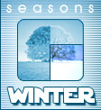 Seasons: Winter